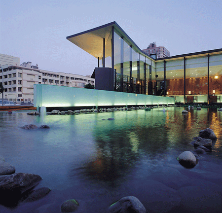 山茶片食品半自動(dòng)定量包